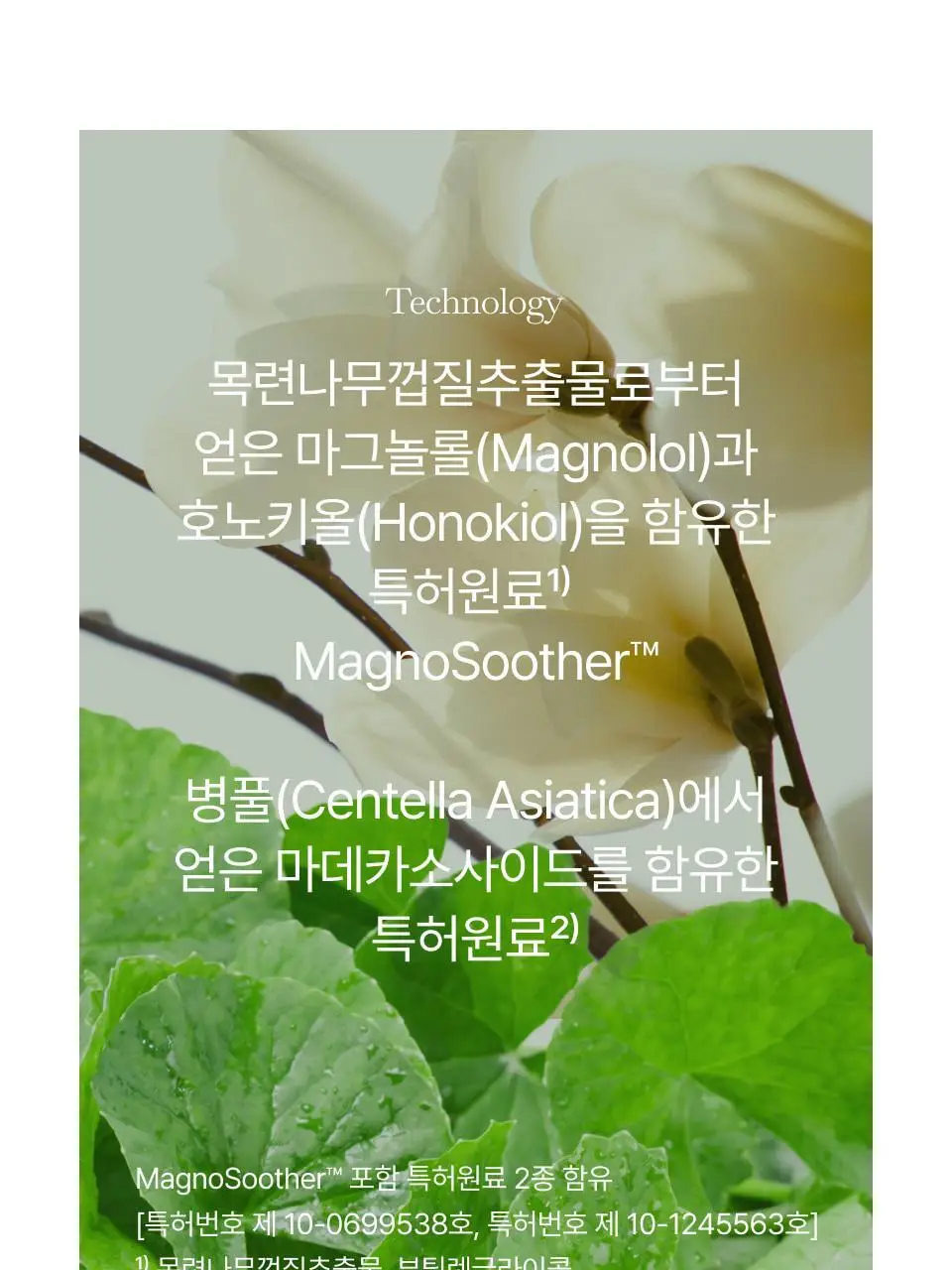 [색소침착] 오드로이 등잡티크림 로프디 200ml 상세페이지 8